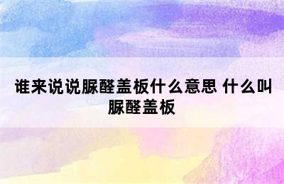 谁来说说脲醛盖板什么意思 什么叫脲醛盖板